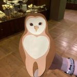 Sowy – nocne duchy. Zdjęcie z tworzenia własnej sowy z papieru.